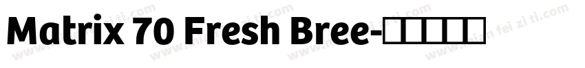 Matrix 70 Fresh Bree字体转换